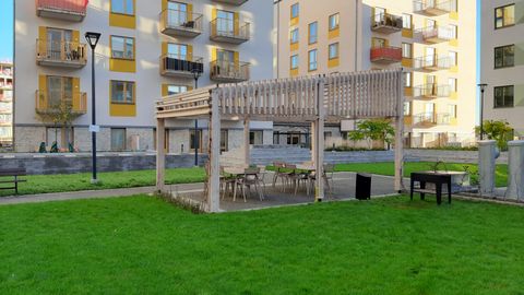 BBQ and Sitting Area in Backyard Common Garden.