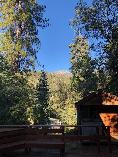 Back porch in spring/summer conditions