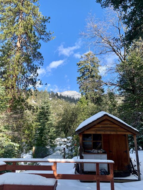 Back porch in winter wonderland conditions