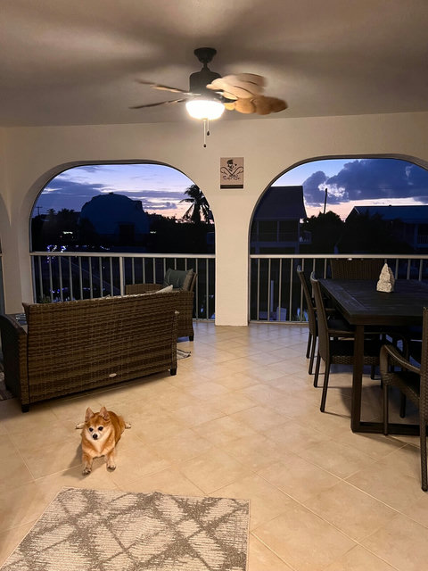 Furry loved ones welcome (size & breed restriction apply)