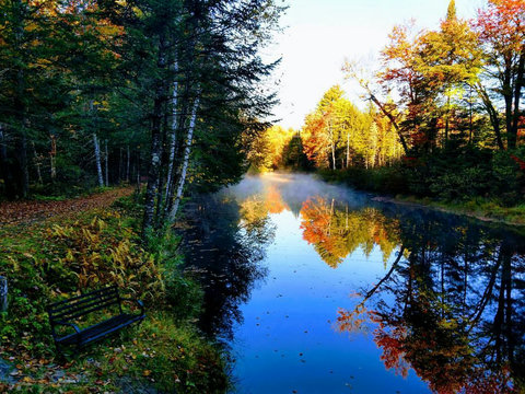 The river has beautiful quiet mornings 