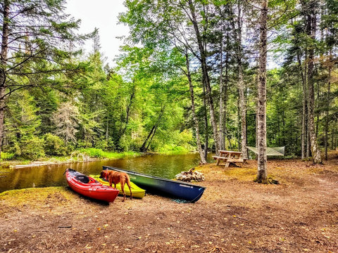 Canoe and  kayacks for your use.   Also 400 ft of river frontage is COMPLETELY PRIVATE 
