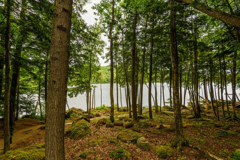 View of the private waterfront area for the house. 