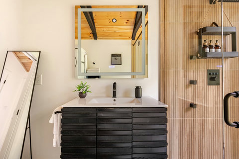 lighted mirror. dress mirror. soap and shampoo provided 
