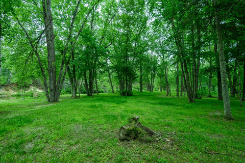 Huge Yard with lots of space for pets and family to roam. 
