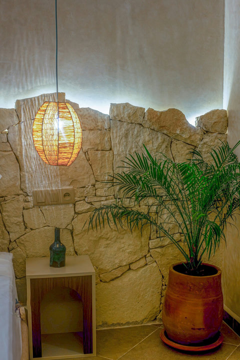 Stone wall with plant and soft lighting / Mur en pierre, plante et éclairage doux