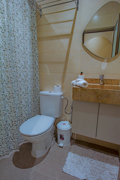 Private bathroom with toilet and mirror / Salle de bain privée avec toilettes et miroir