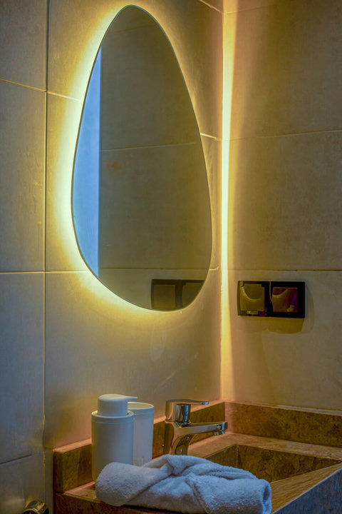 Private bathroom with lit mirror / Salle de bain privée avec miroir lumineux
