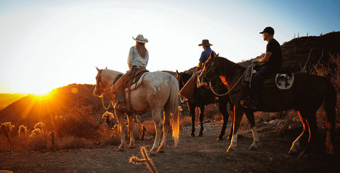 Sunset horseback rides with stunning desert and mountain views