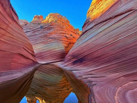 Stunning wave canyon with reflective pool and vibrant desert views