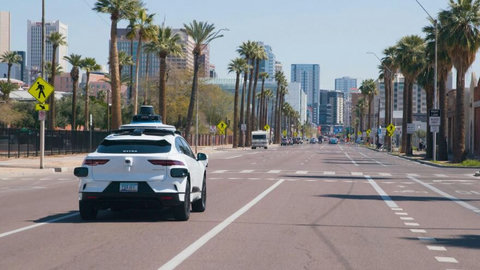 Sunny palm-lined boulevard with easy access to downtown attractions