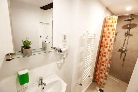 Shower, sink and mirror...