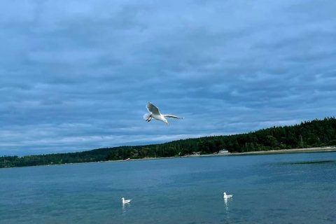 Beautiful view that brings tranquility