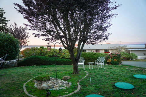 Beautifully maintained yard
