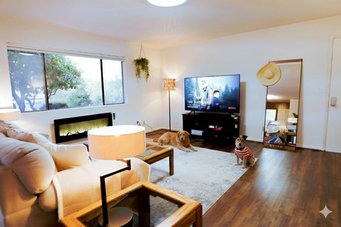 Bright and spacious living area 