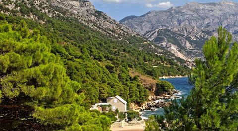 Secluded waterfront getaway perfect for couples and families with children