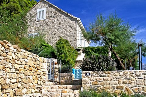 Beachfront accommodation surrounded by lush vegetation ensures maximum privacy