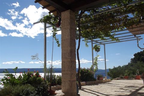 Large terrace under arbor
