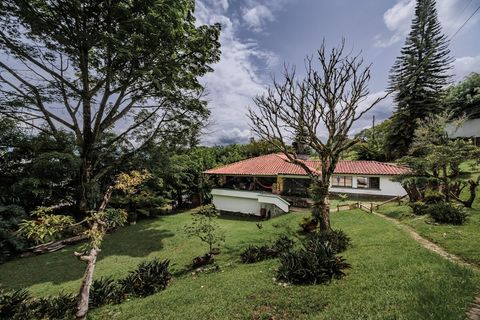 Espectacular backyard with fabulous trees and plants where birds, squirrels and endemic animals come to visit, fully surrounded by fence and a gate.