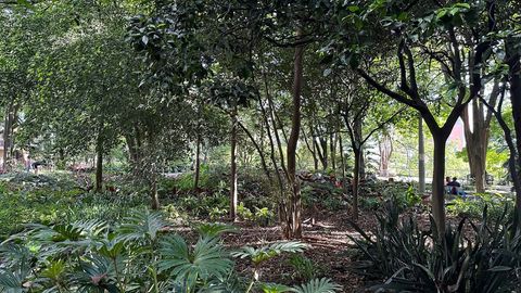 Parque cerca del edificio con árboles y plantas.