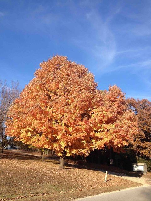 Our Fall Season