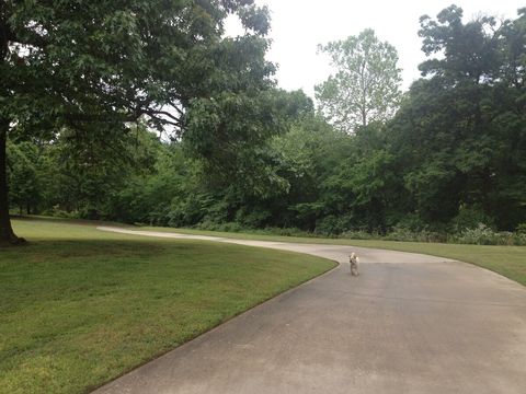 Our Long Driveway