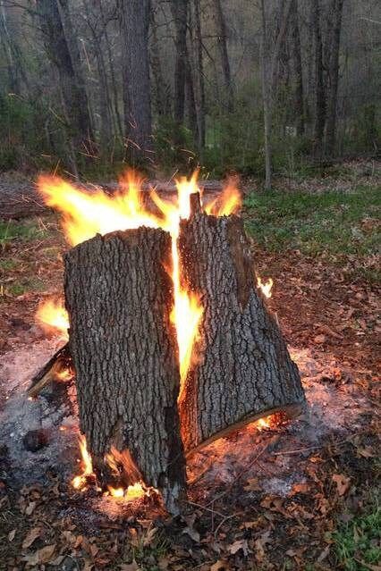 Backyard Bonfire