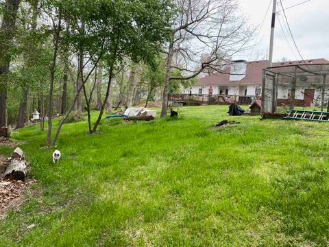 Backyard Spring of 2021