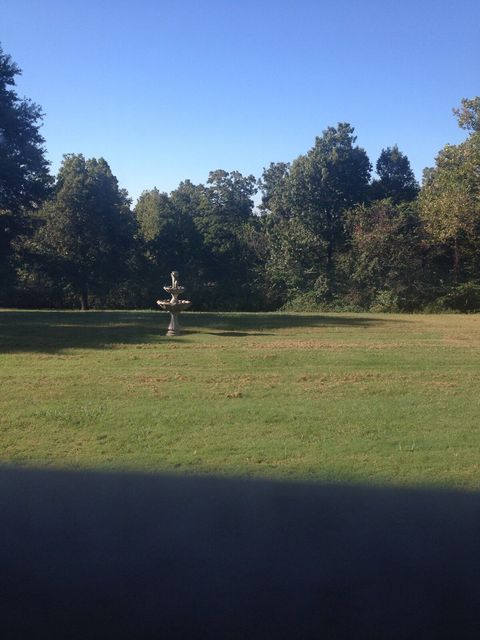 Window View!