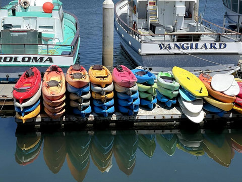 Kayak rentals just a 5 minute drive across the bridge
