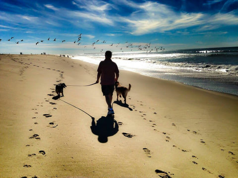 Dog-Friendly Amenities for Your Furry Friend We love dogs! Each stay includes a dog bed, bowls, towels, lint roller, and a couch blanket. Just bring a leash—and your pup is ready for beach days too! 