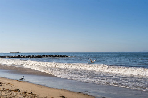 The town of Pierpont is quaint and within walking distance.  Check out the local restaurants and stores!