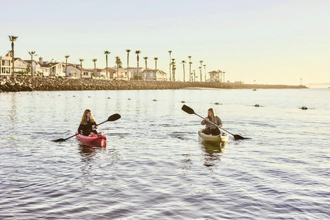 Kayaks and Wheels Launch your kayaking adventure with the kayaks and transport wheels provided, just a quick walk to Hobie Beach.