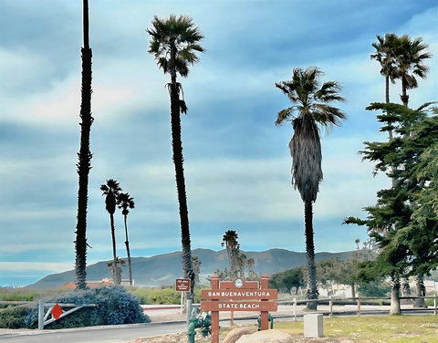 San Buenaventura State Park is a block away. Perfect place to do morning walks or rent some bikes for riding with the family,