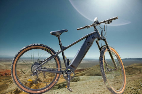 2 high-performance electric bikes available for rent.