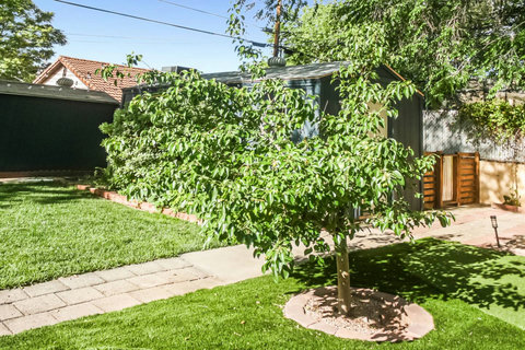 Our seasonal pear tree offers a fresh option for homemade desserts.