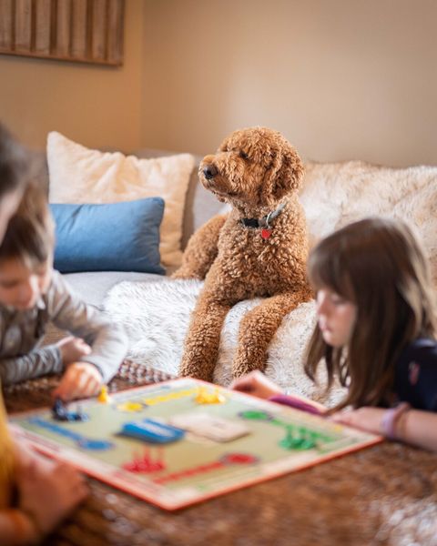 We Love Dogs! Bring Your Buddy Along For Family Time Away
