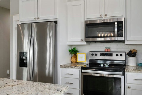 Stainless fridge and range