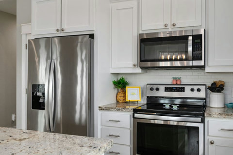 Stainless fridge and range