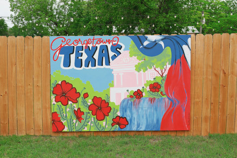 Georgetown mural on the backyard fence