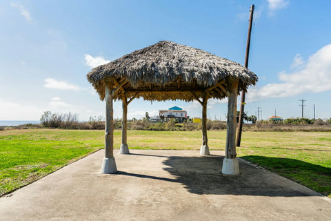 Thatched palapa in the yard, a shady spot by the beach