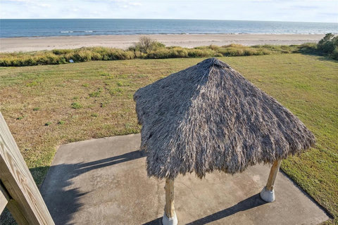 Palapa and patio from above
