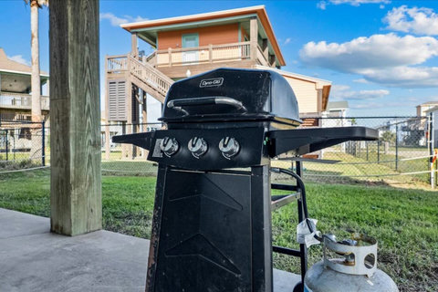 Gas grill for cookouts