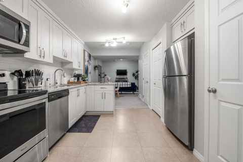 Basement Kitchen