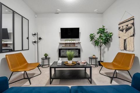 Basement Living Room