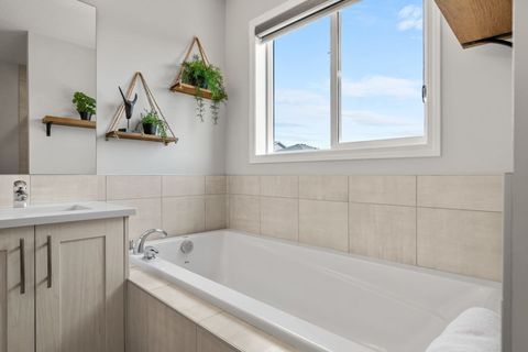 Bathtub #1