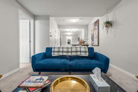 Basement Living Room with Futon