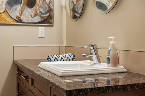 bathroom sink