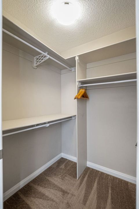 Master Bedroom Walk in closet