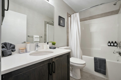 Spa-like bathroom with sleek dark cabinetry and contemporary finishes
